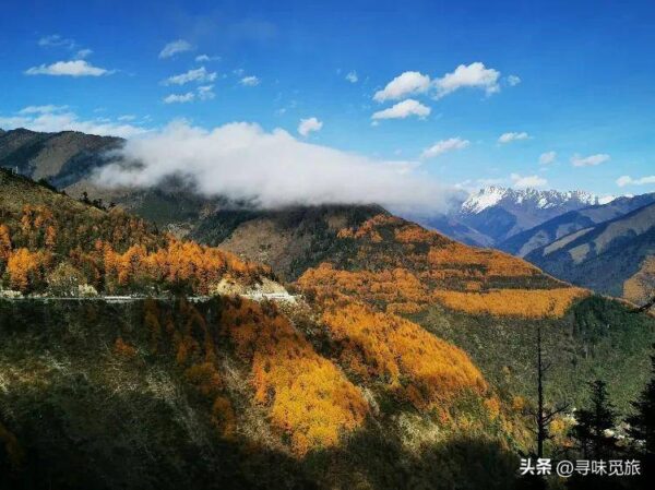 雅安最值得去的旅游景点有哪些(雅安旅游景点排行榜)-1 雅安最值得去的旅游景点有哪些,雅安旅游景点排行榜(附2022年最新排行榜前十名单)