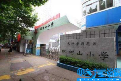 长沙市好的小学排行,长沙最好的小学排名(附2022年最新排名前十榜单)