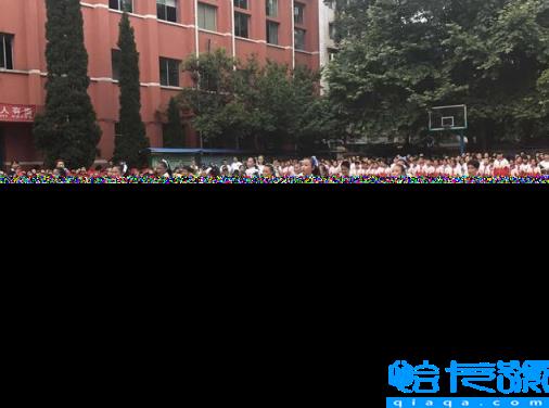贵阳市重点小学排名榜,2022年最新最好的小学名单(附2022年最新排名前十榜单)