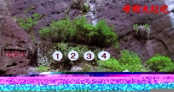 中国最贵的茶叶排名价格(中国最贵名茶排行榜前十名)-1 中国最贵的茶叶排名价格,中国最贵名茶排行榜前十名(附2022年最新排行榜前十名单)