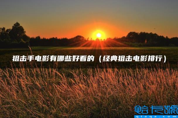 狙击手电影有哪些好看的,经典狙击电影排行(附2022年最新排名前十榜单)