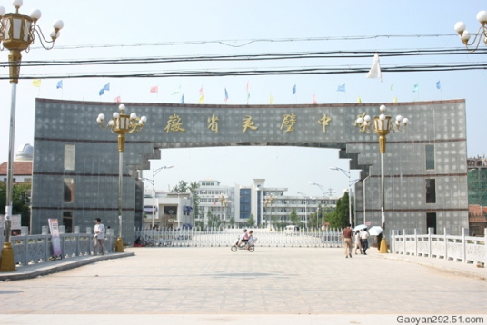 宿州市2022年最厉害的高中排名(宿州市重点高中排名前十的学校)插图4 宿州市2022年最厉害的高中排名,宿州市重点高中排名前十的学校(附2022年最新排行榜前十名单)