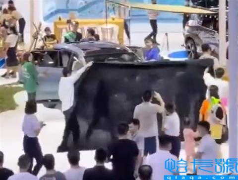 车展遭车主拉横幅维权!广汽埃安回应:库管私下修复引起(附2022年最新排名前十榜单)