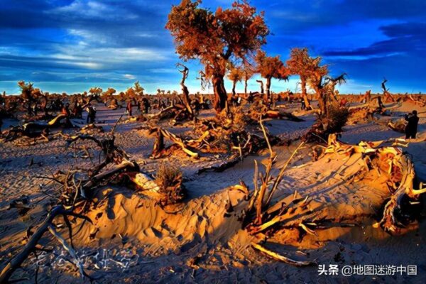 世界上最大的沙漠叫什么名字(世界上最大的沙漠排名)-1 世界上最大的沙漠叫什么名字,世界上最大的沙漠排名(附2022年最新排行榜前十名单)