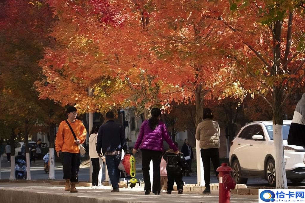 湖北省大学排名一览表2022,湖北最好的十五所大学(附2022年最新排名前十榜单)