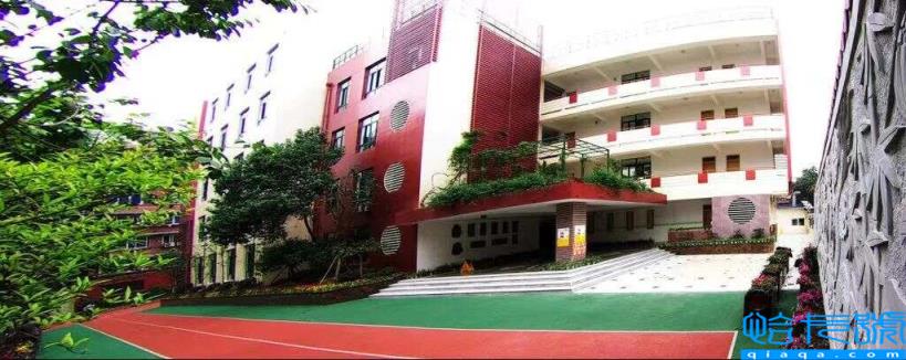 2022成都公立小学排名40强,成都小学最新排名表(附2022年最新排名前十榜单)