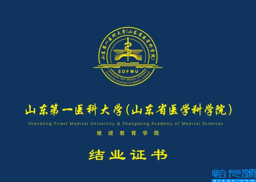 2022年中国十大含金量证书排名,最值得考的十大证书排行榜(附2022年最新排名前十榜单)