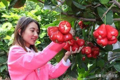海南省十大特产有哪些(海南特产排行榜前十名)-1 海南省十大特产有哪些,海南特产排行榜前十名(附2022年最新排行榜前十名单)