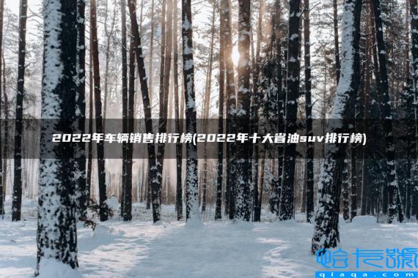 2022年十大省油suv排行榜,2022年车辆销售排行榜(附2022年最新排名前十榜单)