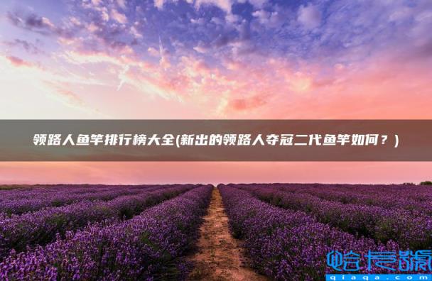 新出的领路人夺冠二代鱼竿如何?,领路人鱼竿排行榜大全(附2022年最新排名前十榜单)
