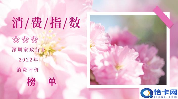 十大金牌月嫂公司正规月嫂公司,深圳月嫂公司10大品牌(附2022年最新排名前十榜单)