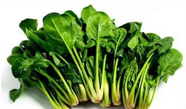 补锌最好的食物排行榜 补锌的十种最佳食物插图 补锌最好的食物排行榜,补锌的十种最佳食物(附2022年最新排名前十榜单)