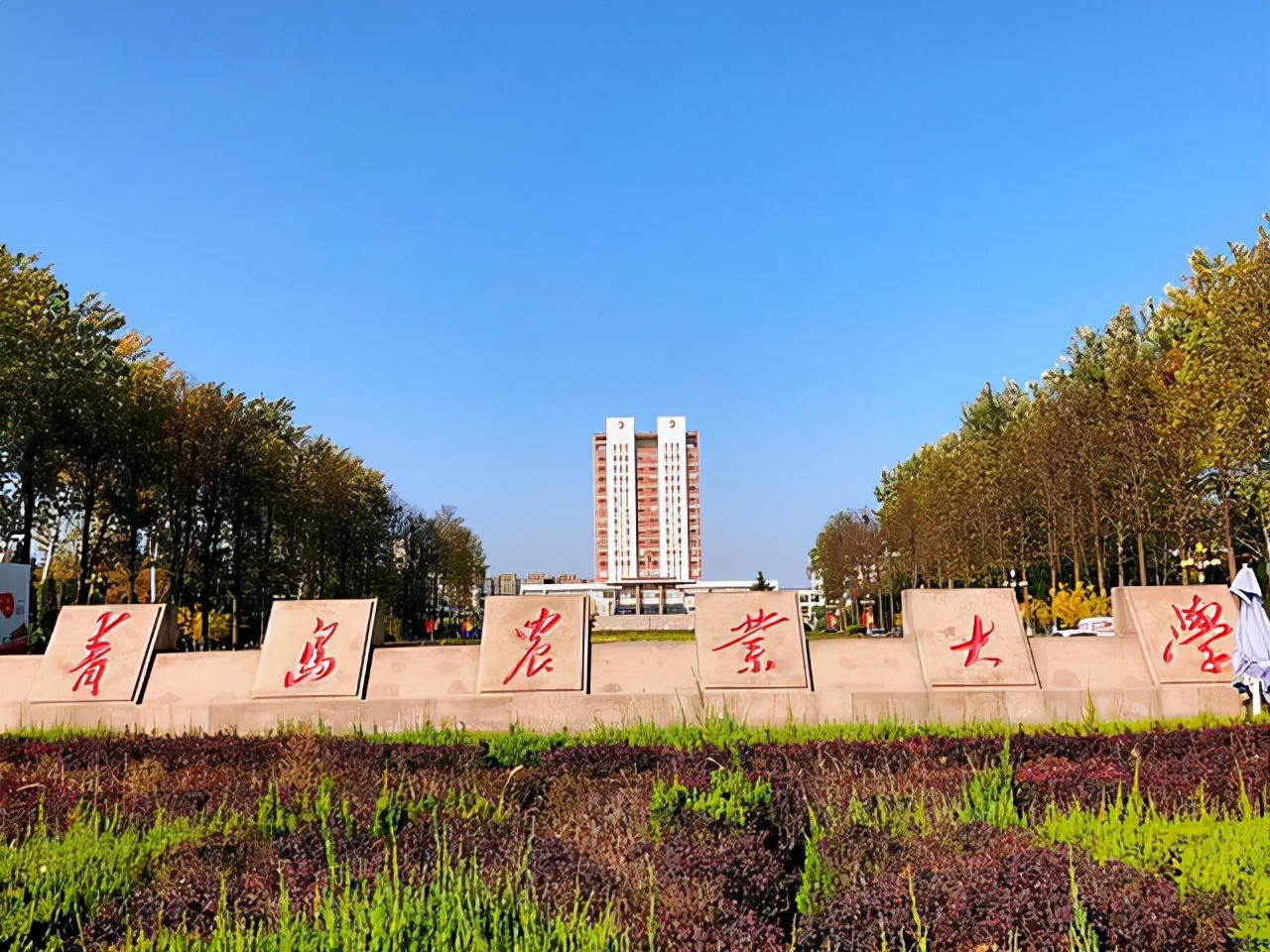2022青岛大学排行榜,青岛高校最新排名,中海大稳居第三,青岛农业只能排在第六(附2022年最新排行榜前十名单)