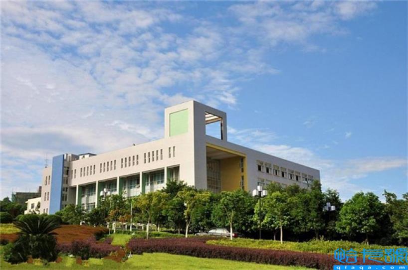 重庆公办重点职校有哪些,重庆市职校排名第一(附2022年最新排名前十榜单)