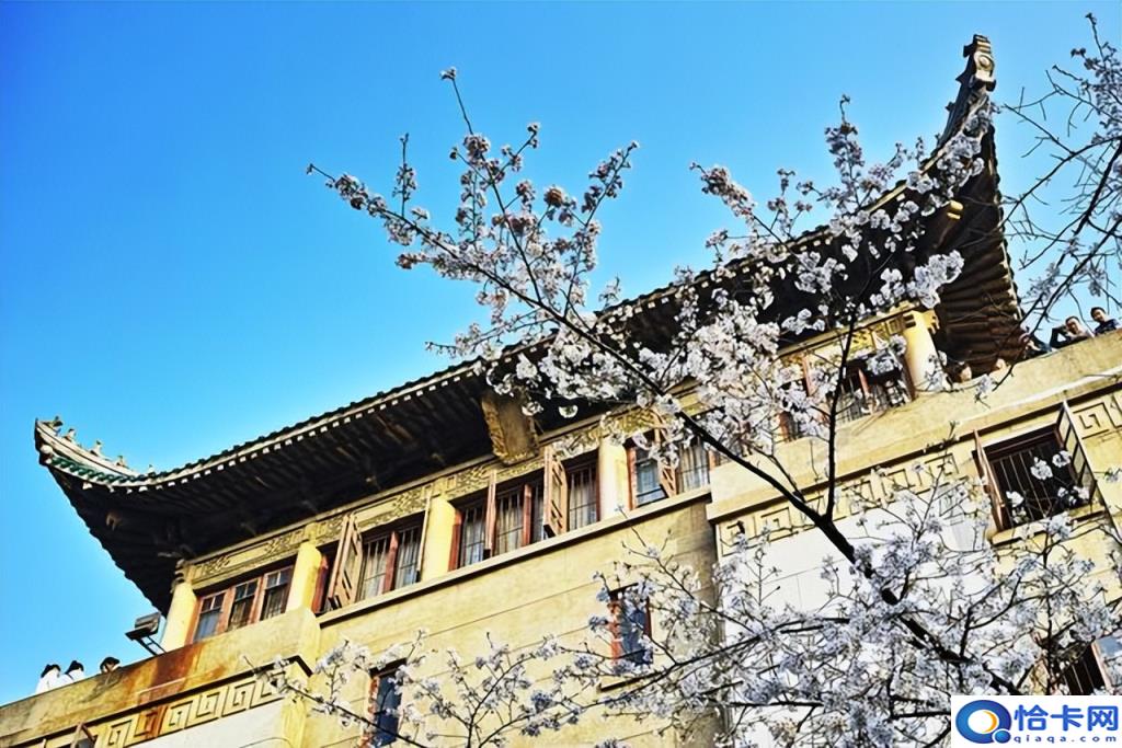 湖北省大学排名一览表2022,湖北最好的十五所大学(附2022年最新排名前十榜单)
