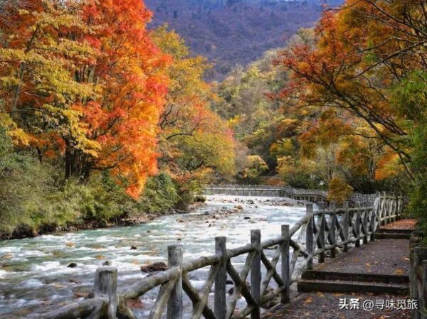 雅安最值得去的旅游景点有哪些(雅安旅游景点排行榜)-1 雅安最值得去的旅游景点有哪些,雅安旅游景点排行榜(附2022年最新排行榜前十名单)