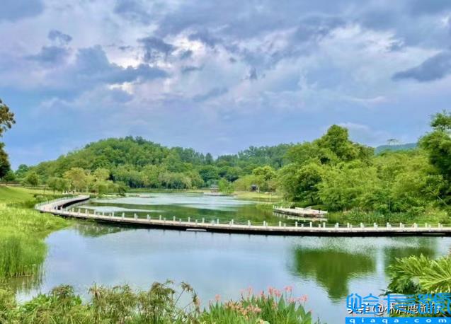中国避暑城市排行榜,中国夏天最凉快的10个避暑城市(附2022年最新排名前十榜单)