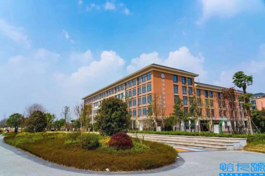 2022成都公立小学排名40强,成都小学最新排名表(附2022年最新排名前十榜单)