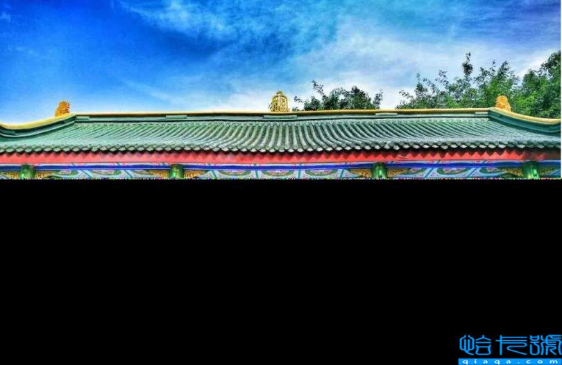 成都重点高中有哪些,2022年成都高中排行榜(附2022年最新排名前十榜单)