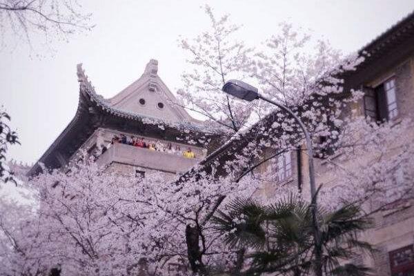 1599613307568752.jpg 中国网红打卡旅游景点排行榜2022(附2022年最新排行榜前十名单)