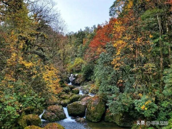 雅安最值得去的旅游景点有哪些(雅安旅游景点排行榜)-1 雅安最值得去的旅游景点有哪些,雅安旅游景点排行榜(附2022年最新排行榜前十名单)