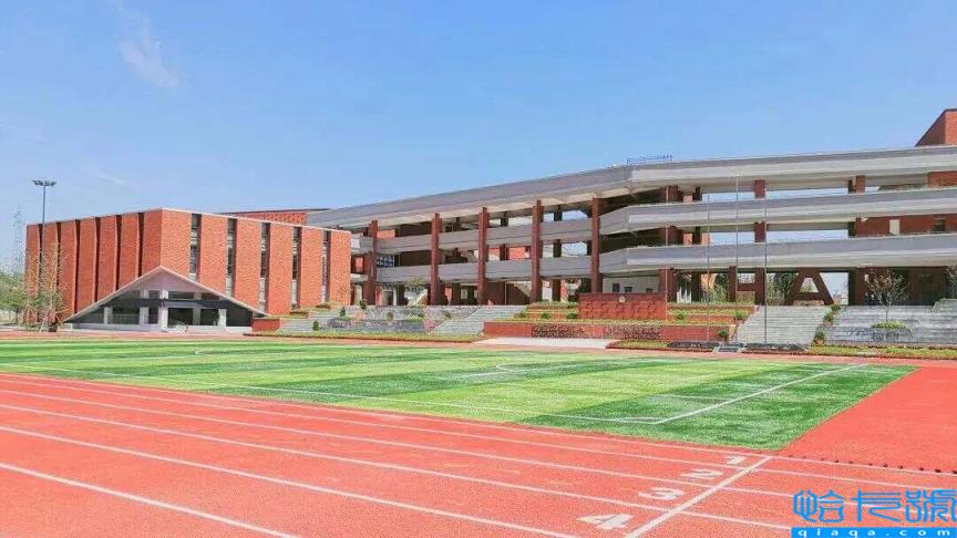2022成都公立小学排名40强,成都小学最新排名表(附2022年最新排名前十榜单)