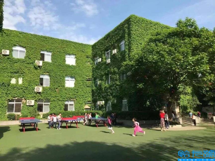 2022成都公立小学排名40强,成都小学最新排名表(附2022年最新排名前十榜单)