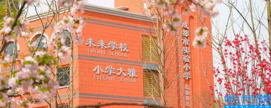2022成都公立小学排名40强,成都小学最新排名表(附2022年最新排名前十榜单)