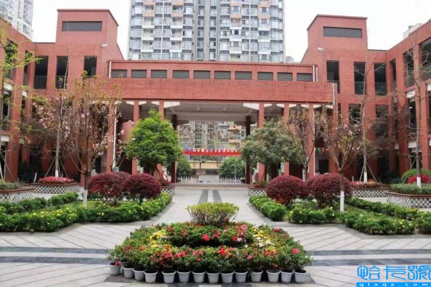 2022成都公立小学排名40强,成都小学最新排名表(附2022年最新排名前十榜单)