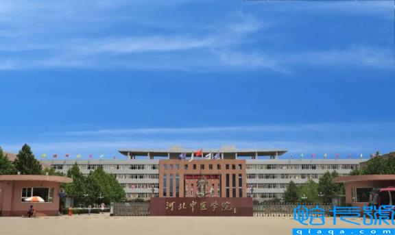 2022年中国中医药大学排名最新,全国中医学院校排名大全(附2022年最新排名前十榜单)