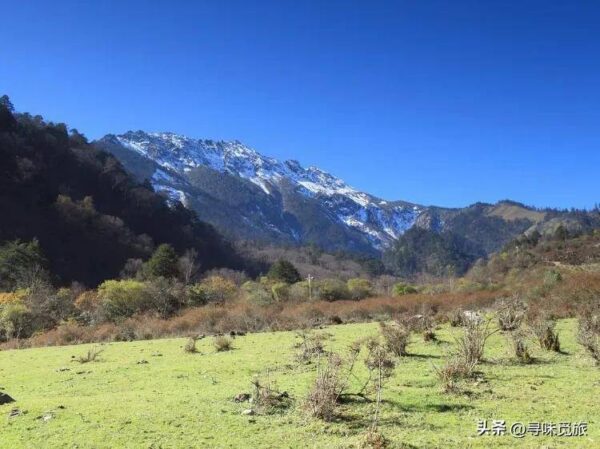 雅安最值得去的旅游景点有哪些(雅安旅游景点排行榜)-1 雅安最值得去的旅游景点有哪些,雅安旅游景点排行榜(附2022年最新排行榜前十名单)