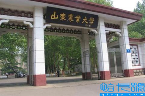 山东公办一本大学排行榜:济南大学上榜,第一有119年历史(附2022年最新排名前十榜单)