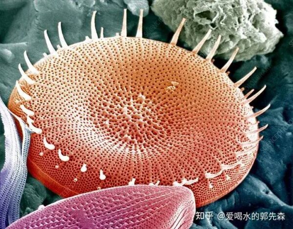 易开得净水机多少钱一台(净水器十大名牌易开得值得买吗)-1 易开得净水机多少钱一台,净水器十大名牌易开得值得买吗(附2022年最新排行榜前十名单)