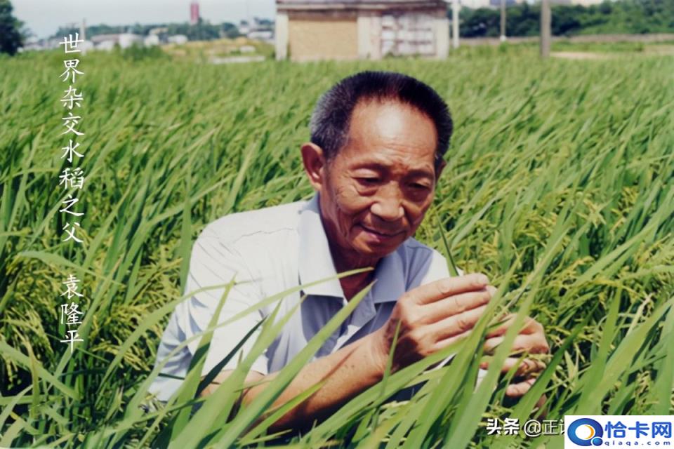 六人定律是什么意思,六人定律的含义及具体例子说明(附2022年最新排名前十榜单)