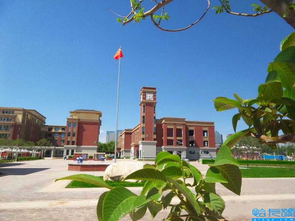 宁夏最好的十大重点高中排行榜,宁夏重点高中有哪些(附2022年最新排名前十榜单)