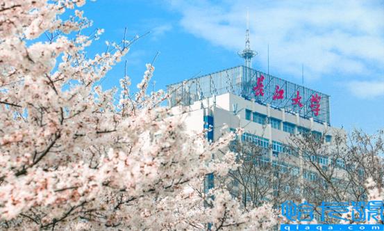 2022年西安石油大学排名全国第几位,石油高校排行榜最新(附2022年最新排名前十榜单)