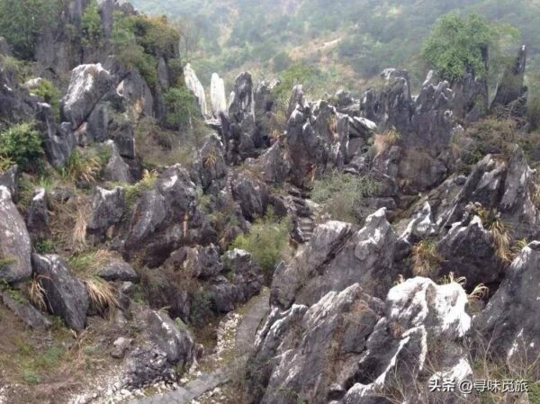 雅安最值得去的旅游景点有哪些(雅安旅游景点排行榜)-1 雅安最值得去的旅游景点有哪些,雅安旅游景点排行榜(附2022年最新排行榜前十名单)