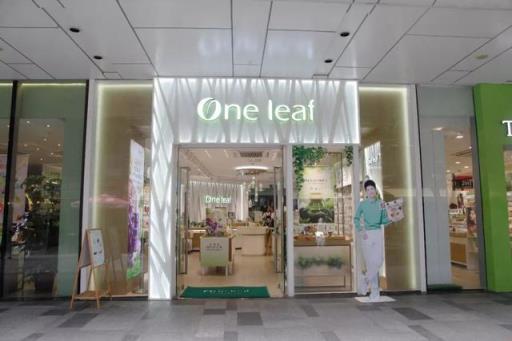 国内十大品牌化妆品排行,中国知名化妆品品牌(附2022年最新排名前十榜单)