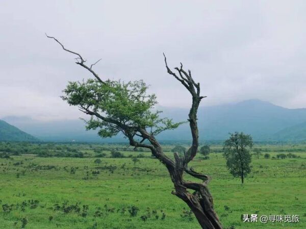 雅安最值得去的旅游景点有哪些(雅安旅游景点排行榜)-1 雅安最值得去的旅游景点有哪些,雅安旅游景点排行榜(附2022年最新排行榜前十名单)
