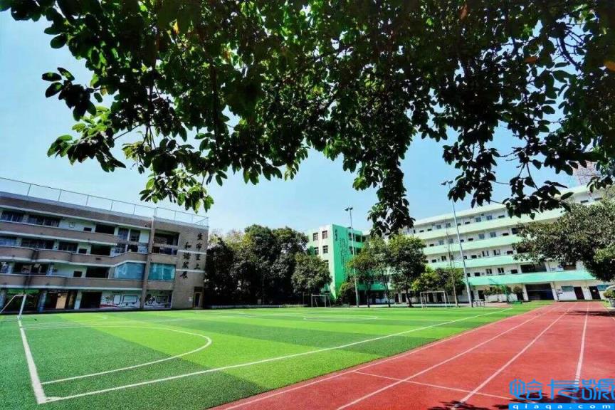 2022成都公立小学排名40强,成都小学最新排名表(附2022年最新排名前十榜单)