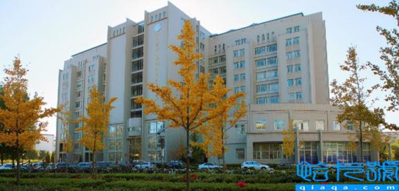 2022年西安石油大学排名全国第几位,石油高校排行榜最新(附2022年最新排名前十榜单)