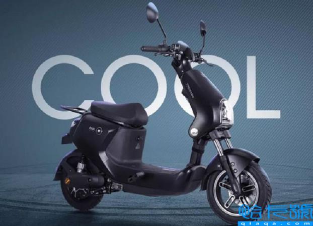 电动自行车十大品牌排行,口碑最好的电动自行车(附2022年最新排名前十榜单)