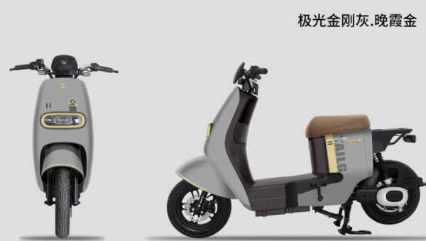 电瓶车品牌排行榜十大名牌(二轮电动车哪个牌子好)-1 电瓶车品牌排行榜十大名牌,二轮电动车哪个牌子好(附2022年最新排行榜前十名单)
