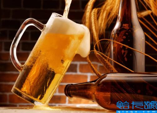 热门好喝啤酒前十排名推荐,啤酒品牌排行榜前十名(附2022年最新排名前十榜单)