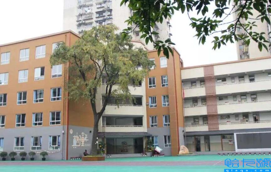 2022成都公立小学排名40强,成都小学最新排名表(附2022年最新排名前十榜单)