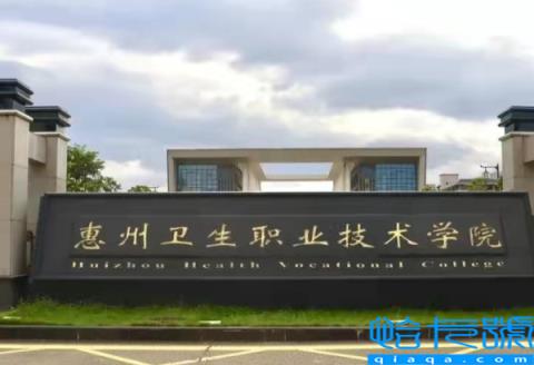 软科2022世界一流学科排行,软科排名2022完整版(附2022年最新排名前十榜单)