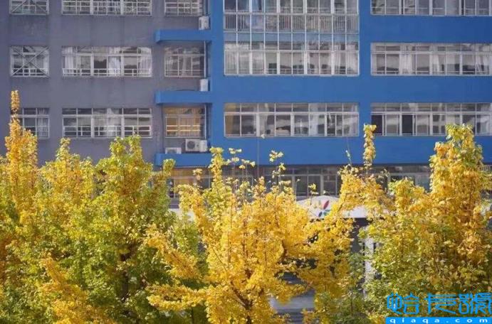 2022成都公立小学排名40强,成都小学最新排名表(附2022年最新排名前十榜单)