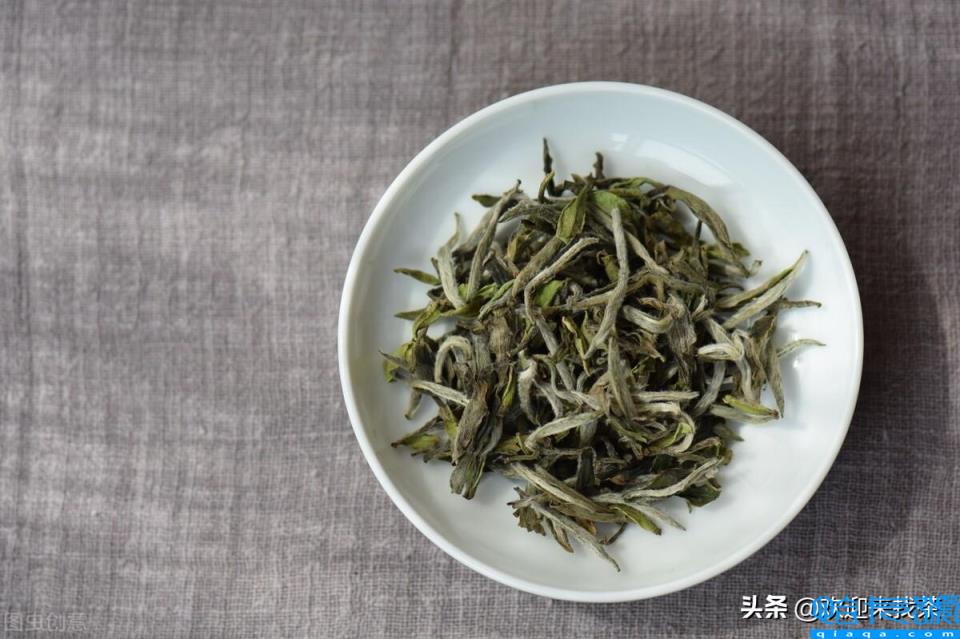 福建茶叶品牌十大名茶,福建茶叶品牌排行榜前10名(附2022年最新排名前十榜单)