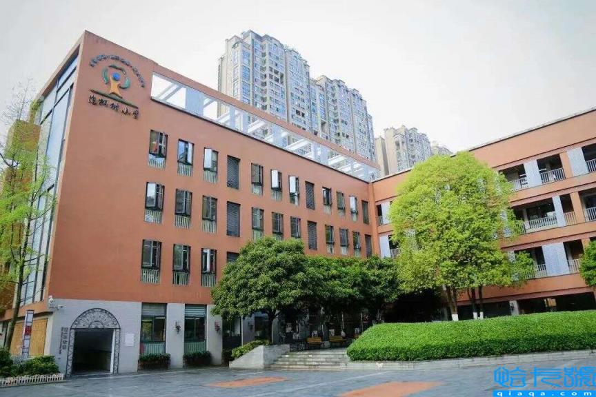 2022成都公立小学排名40强,成都小学最新排名表(附2022年最新排名前十榜单)