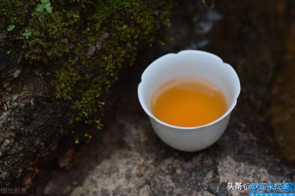 福建茶叶品牌十大名茶,福建茶叶品牌排行榜前10名(附2022年最新排名前十榜单)